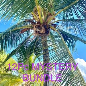 12 piece Mystery Restock Bundle